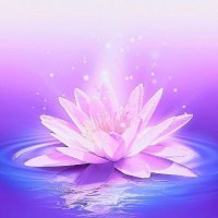 Deep Relaxation (@_deeprelaxation) 's Twitter Profile