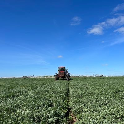 Young farmer working along side with his old man