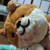 シェルビー (@shellbe1967) 's Twitter Profile