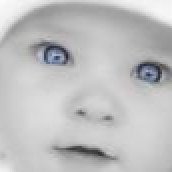 ZOND's profile picture. 