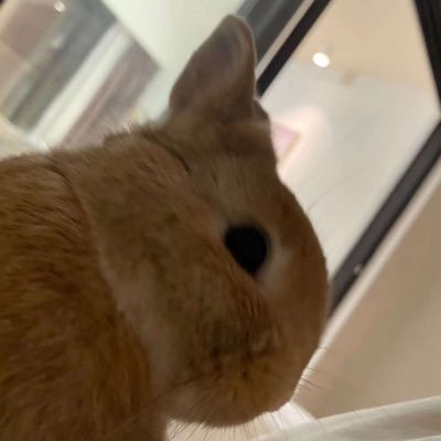 Muggiさんのプロフィール画像