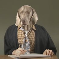 chundo (@mrchundo) 's Twitter Profile Photo chundo (@mrchundo) 's Twitter Profile Photo