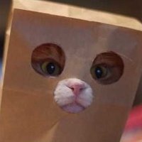 NotSpecial (@nuffinkspecial) 's Twitter Profile