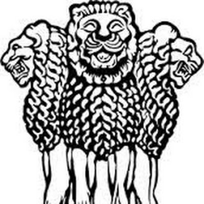 dwcdgadchiroli's profile picture. 