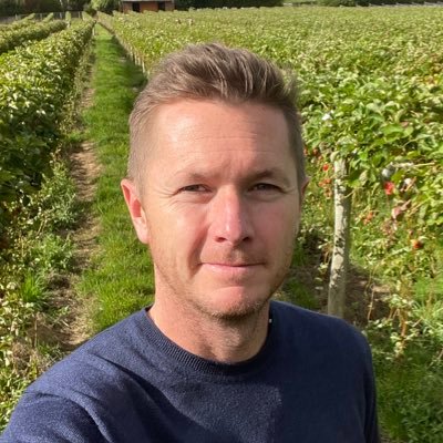 DanDanWalton's profile picture. 