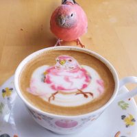 くぅ (@kunit0923) 's Twitter Profile