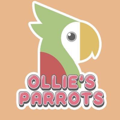 At Ollie's Parrots, we offer high quality hand-raised & hand-fed parrots from small to large.