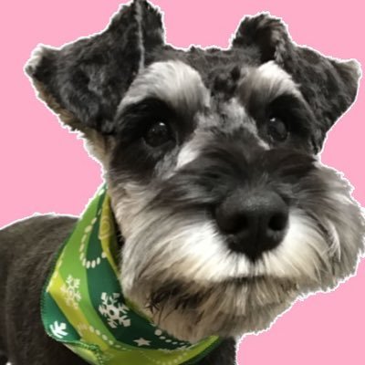 JUNKO_otokogumi's profile picture. #成田昭次 #男闘呼組 #成田商事 #LitteleBlackDress ✨#timelesz #篠塚大輝