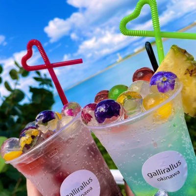 vivi_lily165's profile picture. @PlayVALORANT VALORANT Epi1~4 RADIANTx2 元プロ 某FPSで世界大会出場 国内リーグ優勝 某FPSで公式オフライン大会優勝 🚮@acidblackvely 💞@chanreeeee_