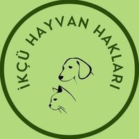 İkçü Hayvan Hakları Topluluğu(@ikcuhayhak) 's Twitter Profile Photo