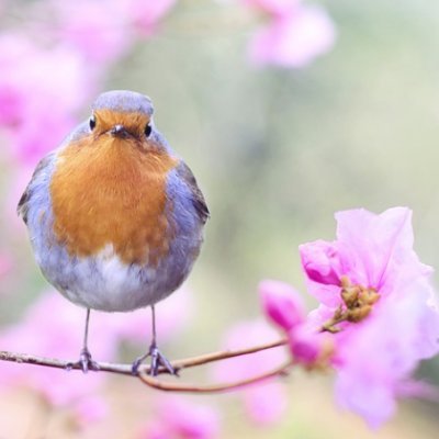 散歩、サイクリング、ガーデニング、動物園好き。
休日はお出かけドライブして写真撮る事も好き。
ヘブバンとラスオリにハマってるので
ゲーム好きなので趣味が合う人はフォローOKです(#^^#)