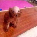 Joseph John Arellano - @JayJayPerson - Twitter