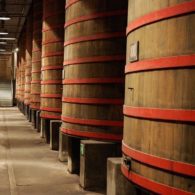 Hop_Fundamental's profile picture. 