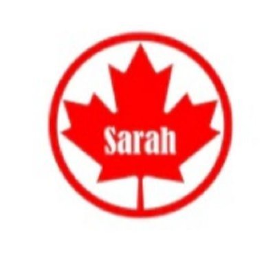 Sarah Electronics