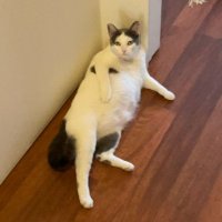 francisca (@mccrackuda) 's Twitter Profile
