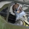 Ham1965H's profile picture. 飛行機のプラモデルを作ってます。無理せずのんびりと。
あと、バドミントンも大好きですが、このアカウントはプラモデル専門で。