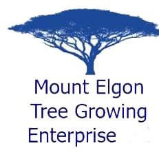 Mount Elgon Tree Growing Enterprise