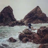 ワカメマニア │ 神崎 泰臣 (@anglerisdead) Twitter profile photo