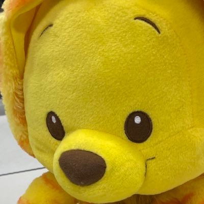 shunshunBVB's profile picture. #frontale #BVB