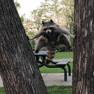 kevhedo's profile picture. A veces se me olvida que existe X