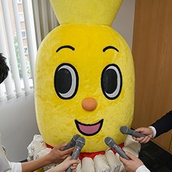 【新潟県民】【関東サポ】無言フォロー失礼します！上越・直江津出身！現在は東京転勤中！ アルビレックス新潟🧡🦢💙アウェイを中心に参戦中！ 皆様よろしくお願いします！マイ№は12 箱推しです！ 趣味ギター：ESP🎸love・killer🎸love💛 #albirex #ESP #killerguitars