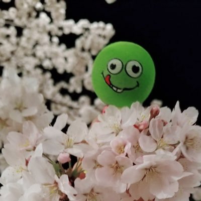 UOWtS63JB6wydgR's profile picture. 