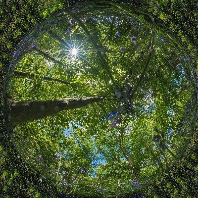 ranadigims's profile picture. Non professional photographer -  analogue, digital, live music.