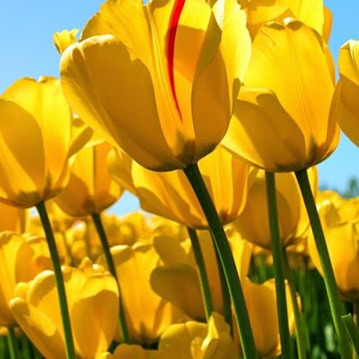 dmmdldd1's profile picture. 