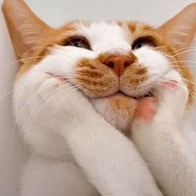 Hongvuongさんのプロフィール画像