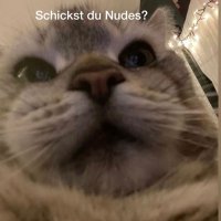 Ryan Schlagen (@bennair244) 's Twitter Profile
