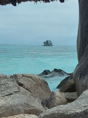 prieto2022's profile picture. 