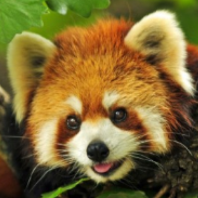 maxlynx7's profile picture. 