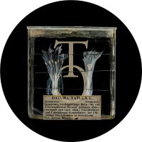 Taxon-Omics (@spp_taxonomics) 's Twitter Profile Photo Taxon-Omics (@spp_taxonomics) 's Twitter Profile Photo
