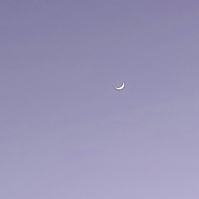 MJM889ou7's profile picture. 