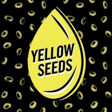 Yellow Seeds Magazine