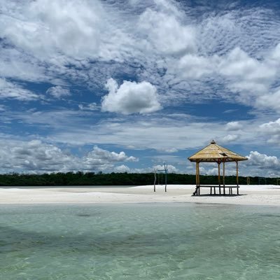 crownzer0's profile picture. 