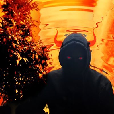 anonT0by's profile picture. #Anonymous IT Student~Aspiring GreyHat I do not recommend minors following this acct, as some posts are sensitive, which I avoid posting on my main: @anonToby