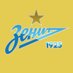 FC Zenit in TopEleven ✨ (@realtopeleven) Twitter profile photo