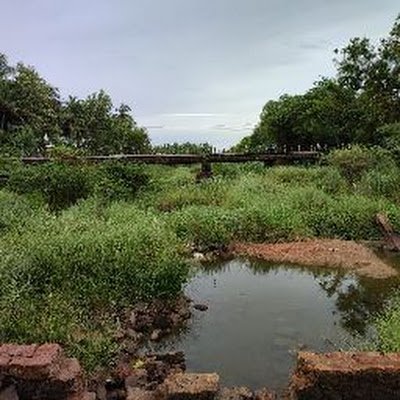 ChellamaSurya's profile picture. 