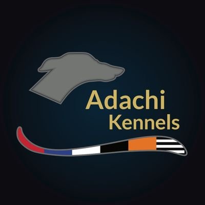 adachikennels Profile Picture