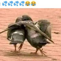 tunti (@tunti111jr) 's Twitter Profile