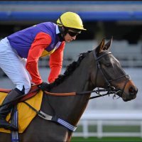Matt Griffiths (@mattgr1ff1ths) 's Twitter Profile