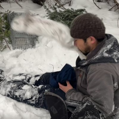 ShoWhitecrane's profile picture. Population and Community ecology | predator-prey | Japan/US(AK)/Norway(Nordland)/Canada(AB)/US(WI)/Ireland(Dublin)