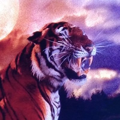 Dream_Glider's profile picture. Doomscrolling here out of boredom.