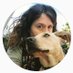 Miriam Priotti (@miriampriotti) Twitter profile photo Miriam Priotti (@miriampriotti) Twitter profile photo
