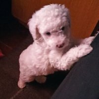 Vale Pérez (@valepre33453510) 's Twitter Profile