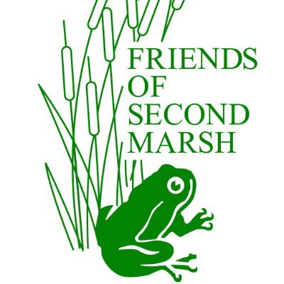 Friends of Second Marsh is a non-profit charity dedicated to the protection and appreciation of Oshawa Second Marsh and its watershed.