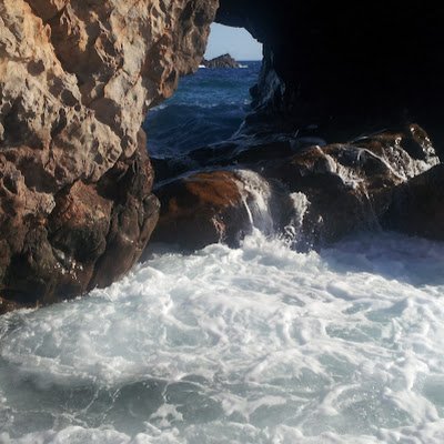MagnoucheH's profile picture.