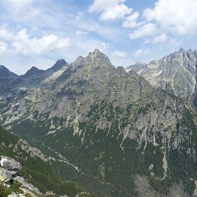 SzalaiDomonkos's profile picture. 