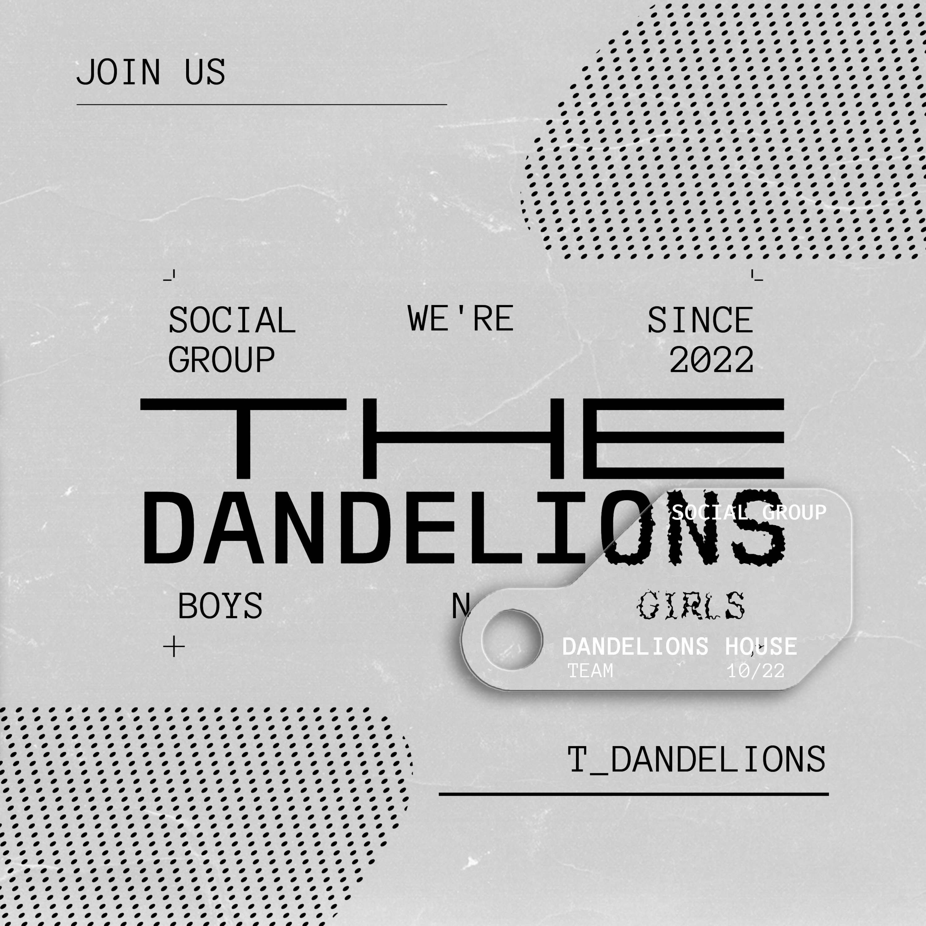 ❛ 𝗦𝗢𝗖𝗜𝗔𝗟 𝗚𝗥𝗢𝗨𝗣:// ✱ Dandelions House™